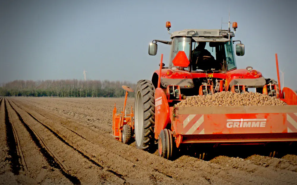 Aardappelen poten op de kleigrond in Zeewolde