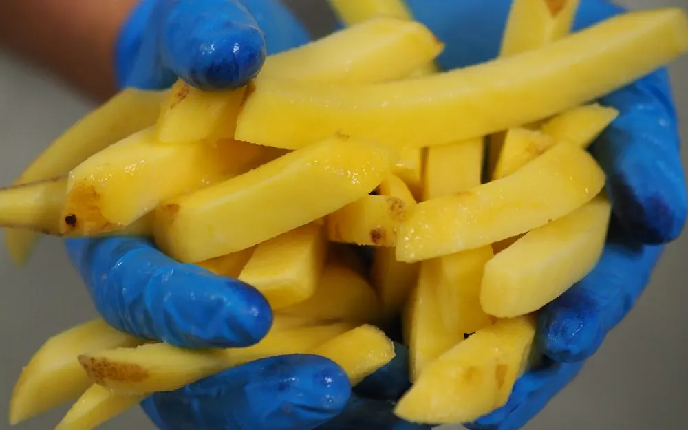 Vers gesneden friet in de hand