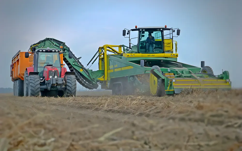 Aardappelen rooien op het land van Friet van Beus